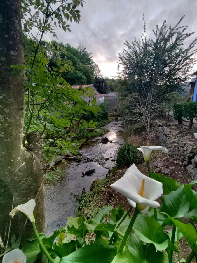 Casa La Cobaraza Vivienda Vacacional Llanes Zewnętrze zdjęcie